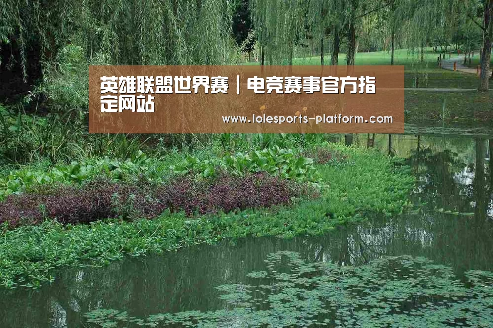 案例展示一(图1)