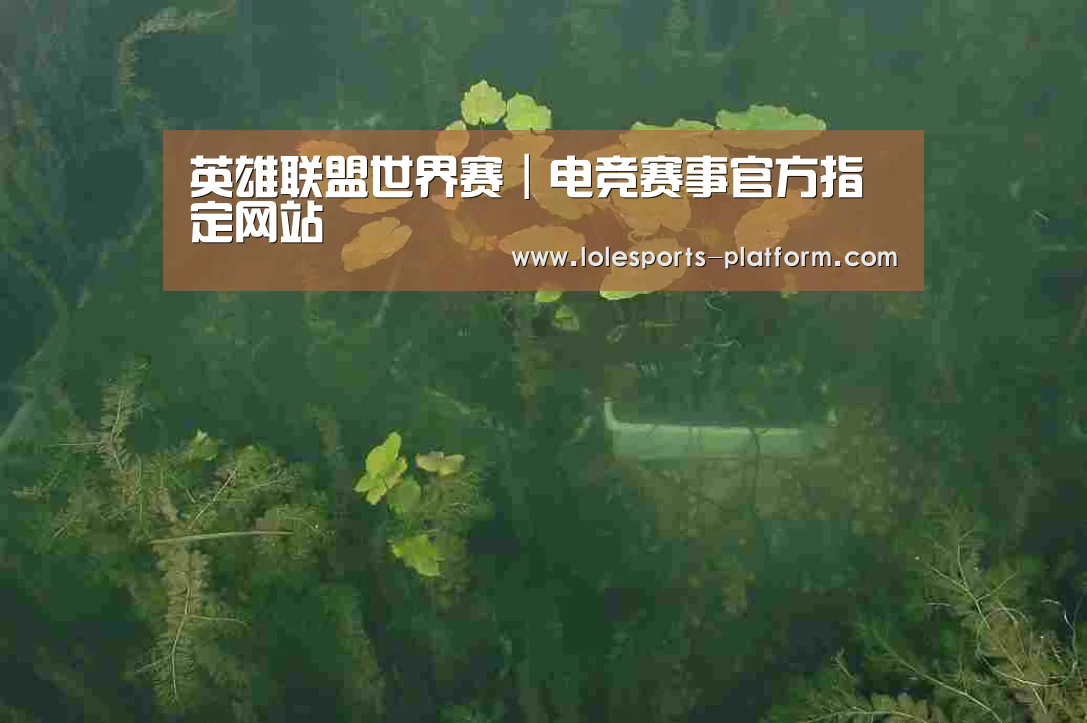 案例展示三(图1)