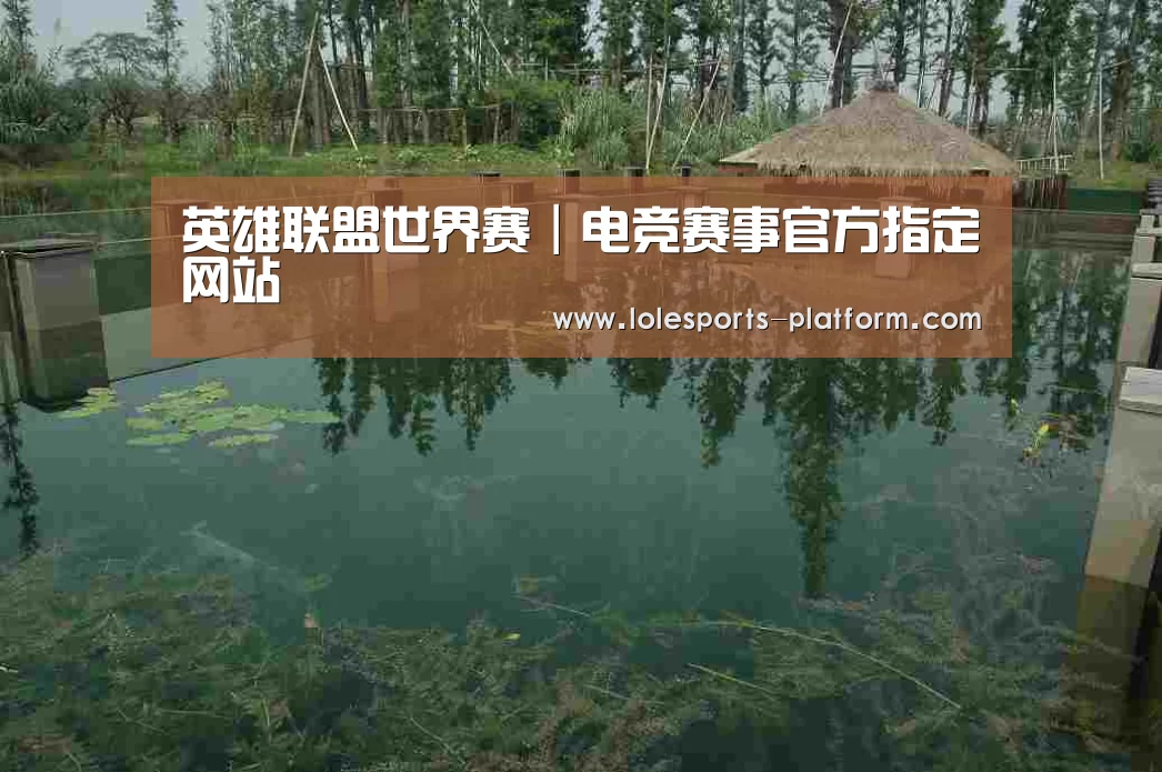 案例展示二(图1)
