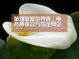 产品名称七
