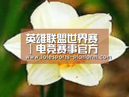 产品名称四