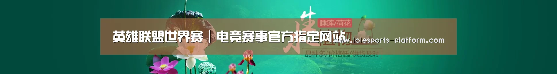 鲜花水草花卉网站模板