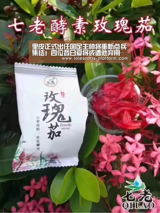 里皮正式出任国足主帅将重新点兵集结!四位昔日爱将或遭他弃用-英雄联盟世界赛(图1) LOL世界赛官网