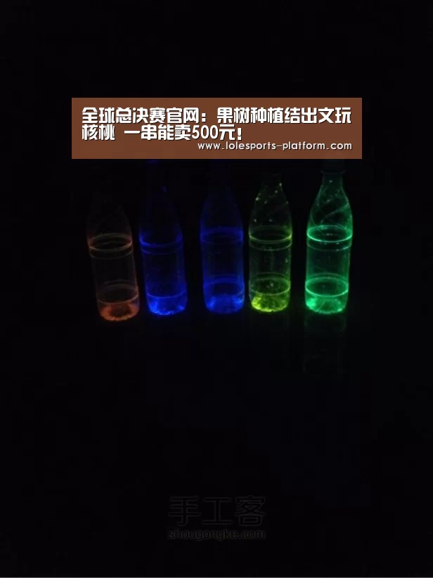 全球总决赛官网:果树种植结出文玩核桃 一串能卖500元!