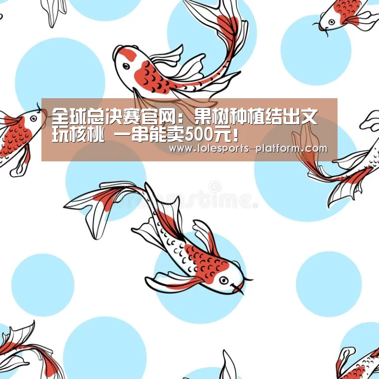 全球总决赛官网:果树种植结出文玩核桃 一串能卖500元!(图4) 全球总决赛官网