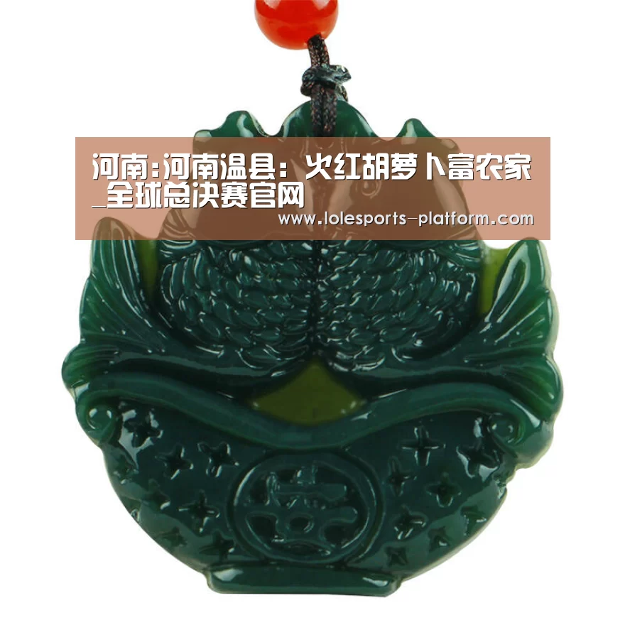 河南:河南温县:火红胡萝卜富农家_全球总决赛官网(图3) 全球总决赛官网